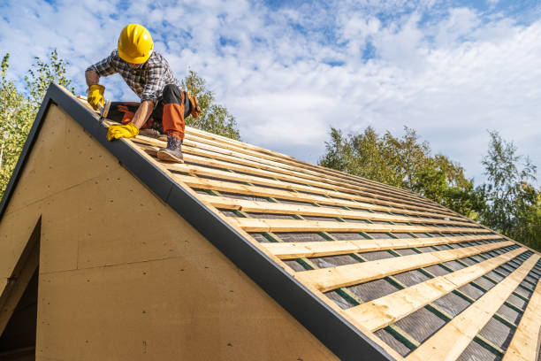 Best Roof Gutter Cleaning  in Vinita, OK
